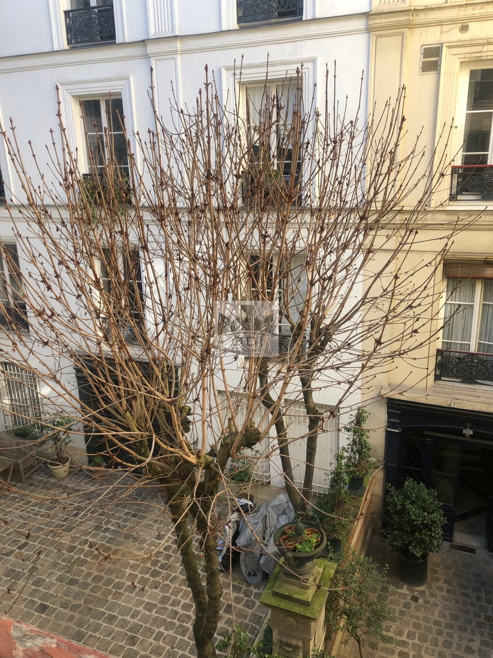 Image_, Appartement, Paris, ref :V10000931